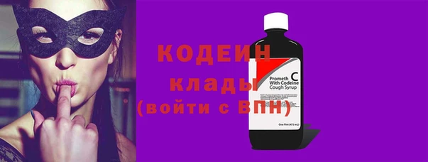 ГАЛЛЮЦИНОГЕННЫЕ ГРИБЫ Каменка