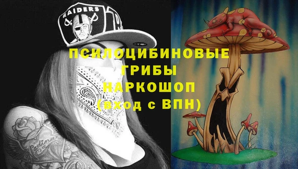 мяу мяу мука Гусиноозёрск