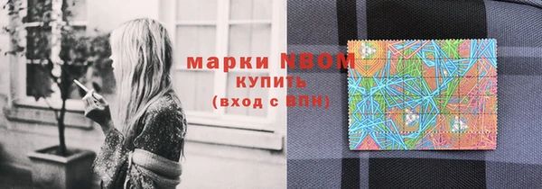 гашик Каменногорск