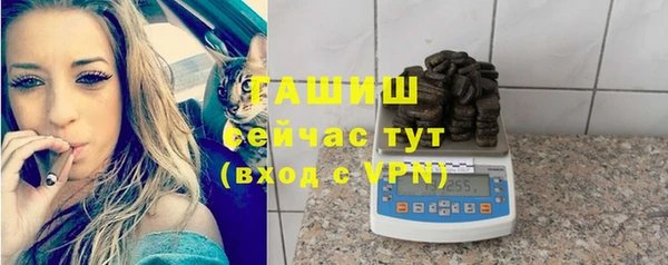 ГАЛЛЮЦИНОГЕННЫЕ ГРИБЫ Каменка
