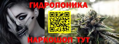 прущие грибы Железноводск