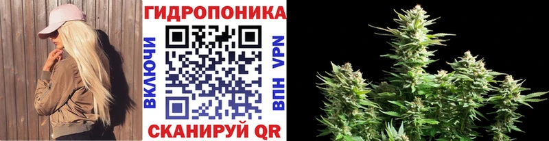Марихуана OG Kush наркота Истра